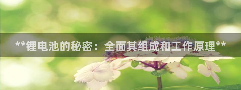 尊龙AG旗舰厅APP
