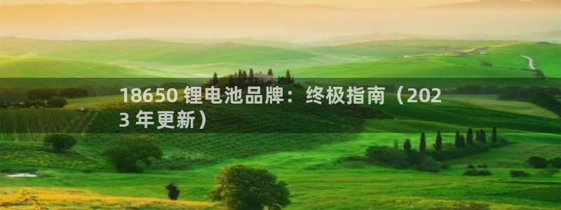 尊龙人生就是博