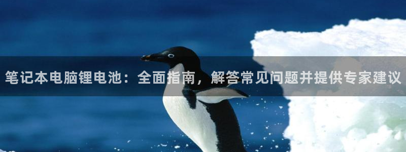 尊龙官方网站
