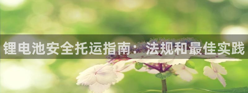 尊龙凯时官网网址