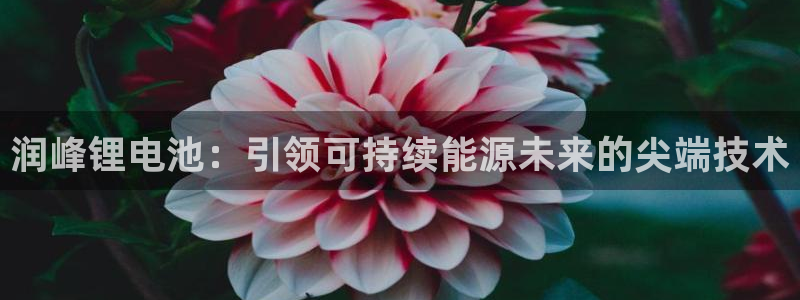 凯时ag旗舰厅