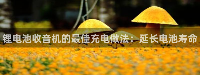 尊龙凯时合法吗?