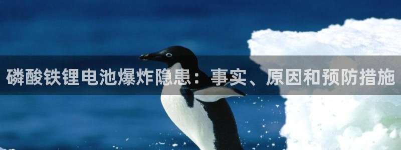 尊龙人生就是博旧版现金娱乐一下