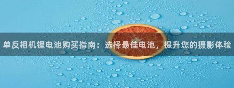 尊龙游戏app官方网站