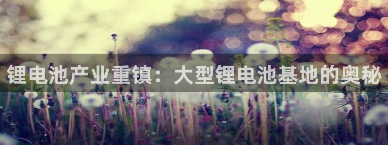 尊龙z6平台