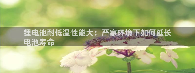 尊龙凯时logo