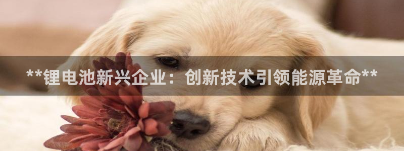 尊龙凯时企业文化