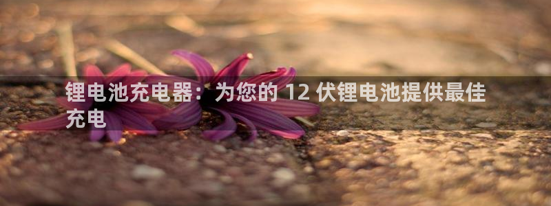 尊龙 10