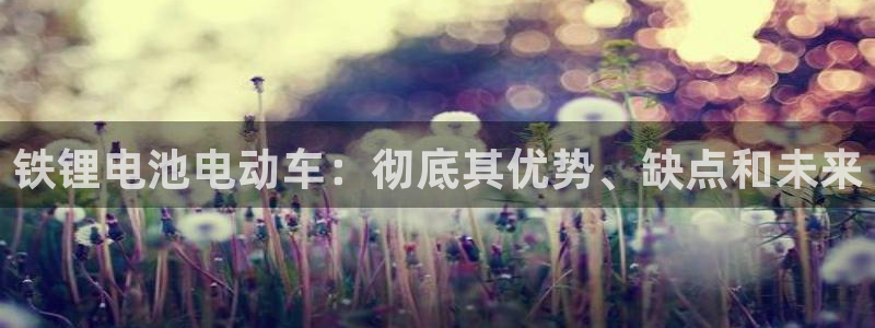 尊龙新版官网网页版