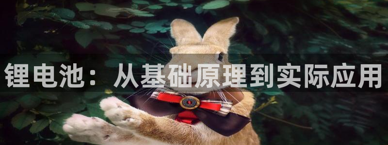 尊龙凯时平台有没有不到账的