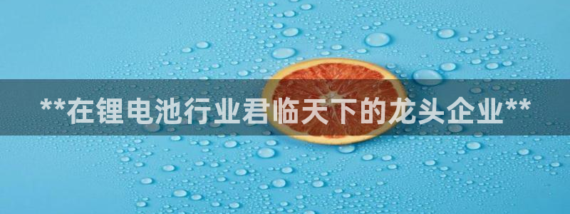 尊龙z6官网ag