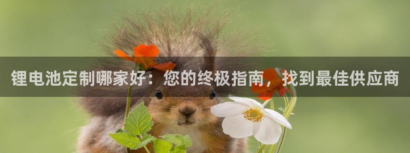 尊龙AG旗舰厅官网：锂电池定制哪家好：您的终极指南，找到最佳供应商
