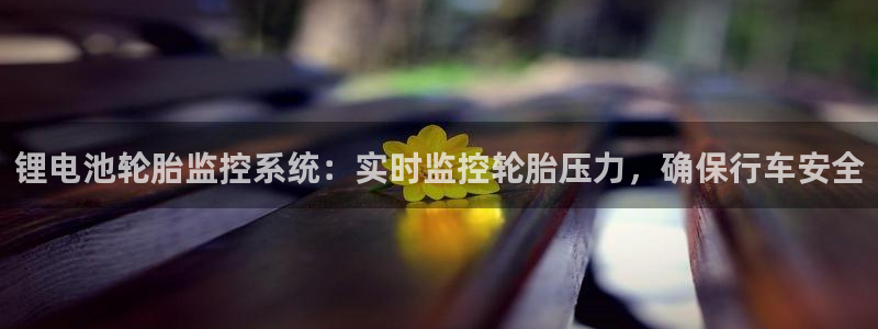 尊龙 am i blue：锂电池轮胎监控系统：实时监控轮胎压力，确保行车安全