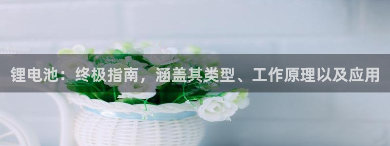 z6尊龙平台是哪里的