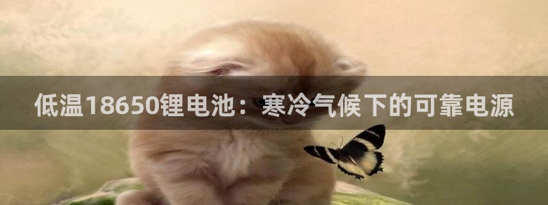 尊龙人生就是傅官网