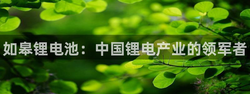 尊龙AG发财网
