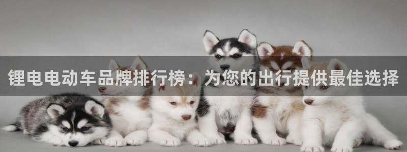 尊龙d88官网确来就送38：锂电电动车品牌排行榜：为您的出行提供最佳选择