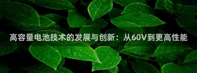 尊龙凯时 人生就是搏 平台