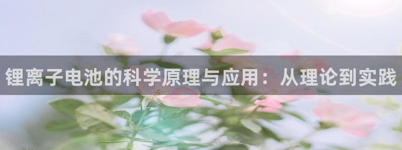Z6尊龙凯时官方
