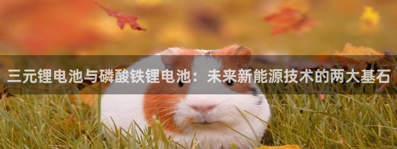 尊龙人生就是博用现金玩一下