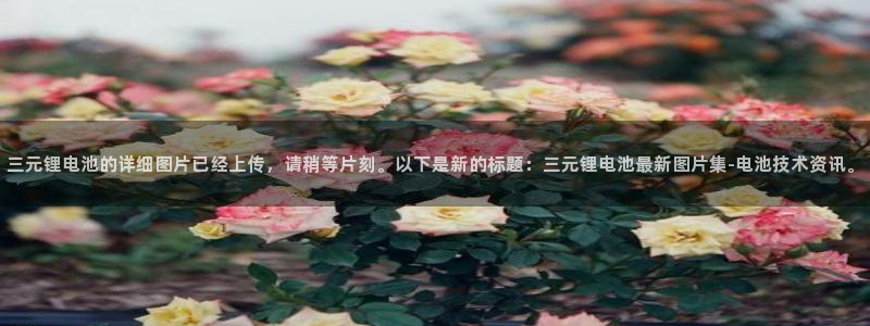 尊龙凯时 - 人生就是搏有假吗