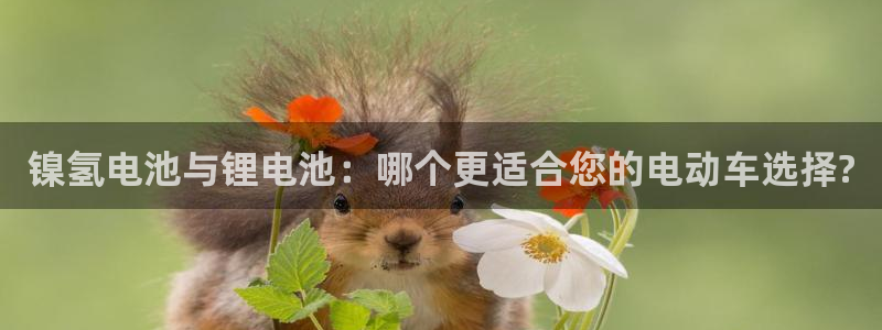 尊龙人生就是博一下首页