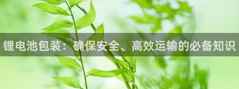 尊龙凯时最新平台登陆