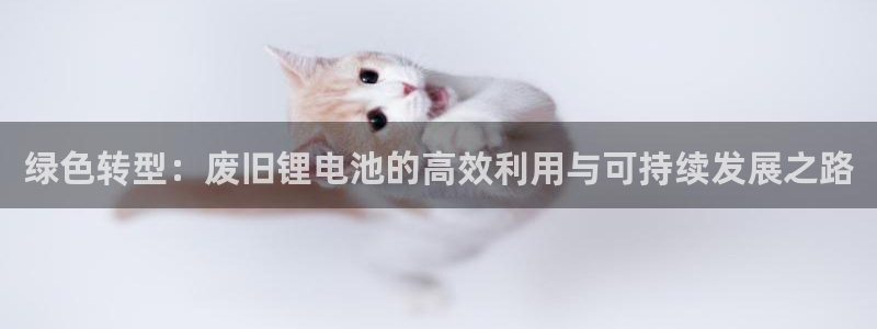尊龙官方平台是正品吗