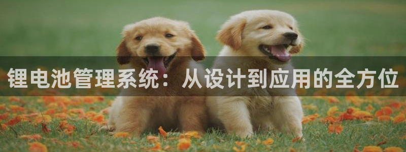 尊龙新版app首页