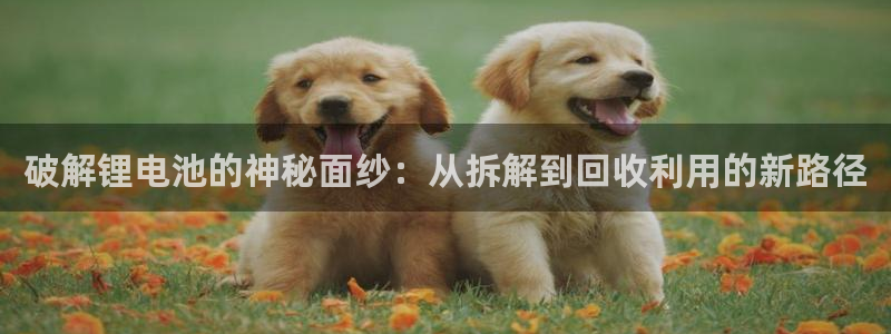 尊龙凯时的最新消息