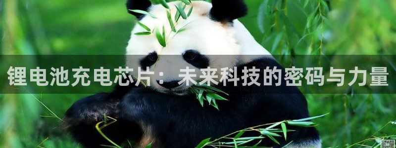 尊龙网址是选访问zd207