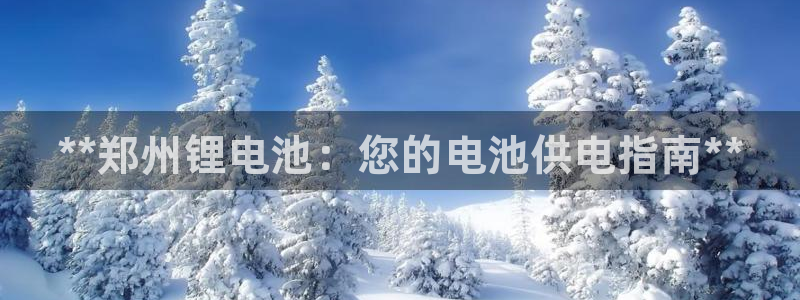 尊龙平台有谁玩过：**郑州锂电池：您的电池供电指南**