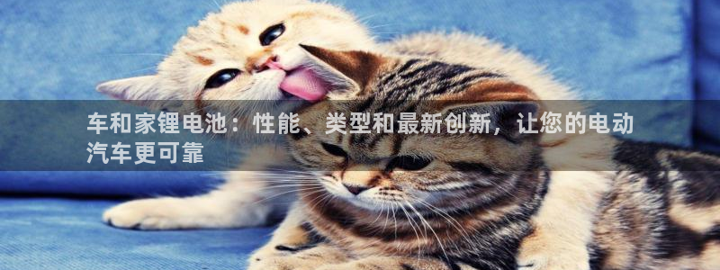 尊龙登录：车和家锂电池：性能、类型和最新创新，让您的电动
汽车更可靠