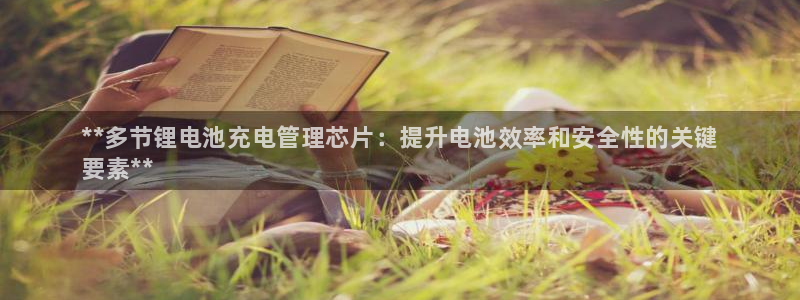 尊龙凯时人生就是博·(中国)：**多节锂电池充电管理芯片：提升电池效率和安全性的关键
要素**