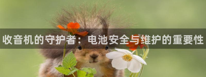 尊龙凯时平台怎么样