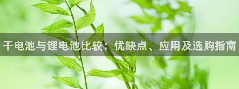 尊龙手机版下载：干电池与锂电池比较：优缺点、应用及选购指南