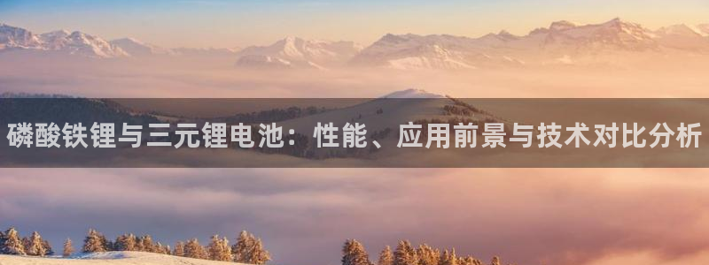 尊龙官网网站