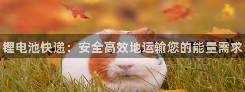 尊龙ag旗舰：锂电池快递：安全高效地运输您的能量需求