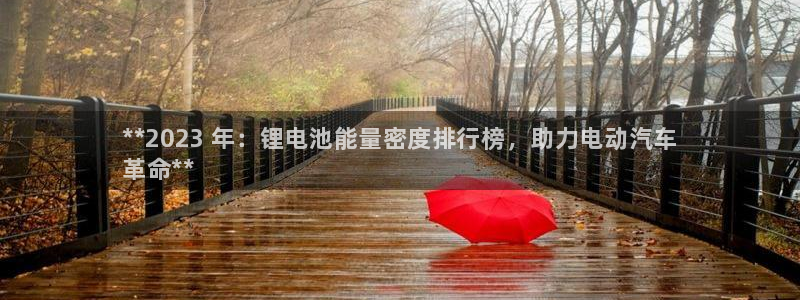 尊龙人生就是博登陆：**2023 年：锂电池能量密度排行榜，助力电动汽车
革命**