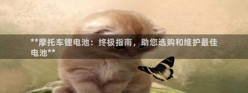 尊龙凯时能提现吗：**摩托车锂电池：终极指南，助您选购和维护最佳
电池**