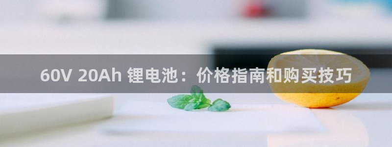 尊龙传奇英文怎么写：60V 20Ah 锂电池：价格指南和购买技巧
