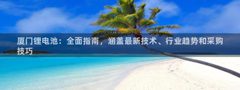 尊龙凯时百家乐手机下载：厦门锂电池：全面指南，涵盖最新技术、行业趋势和采购
技巧
