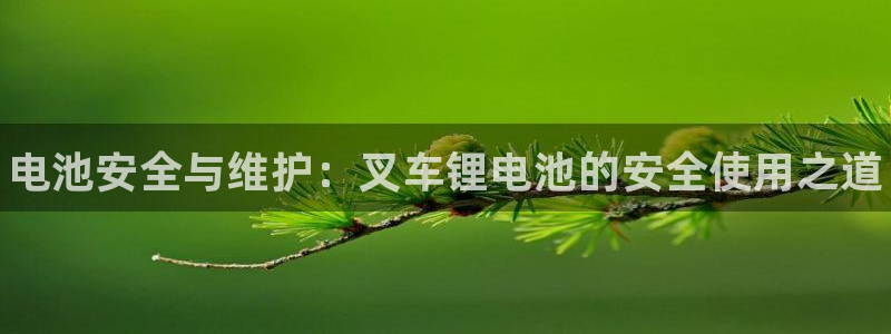 凯时网上官方网站