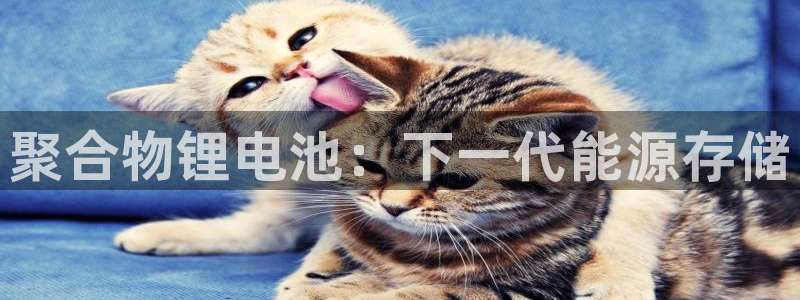 尊龙凯时白家乐Abb下载：聚合物锂电池：下一代能源存储