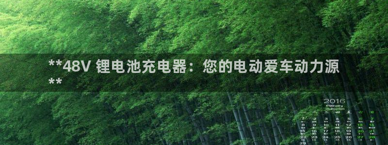 d88尊龙官网登录免费下载：**48V 
